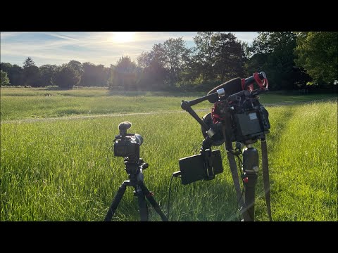 Live Field Test 2! Sony A7S III and Xperia Pro