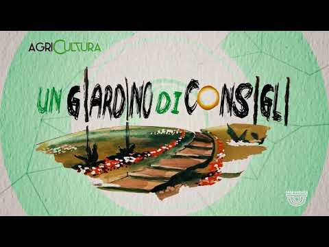 AGRICULTURA | 21/09/2024