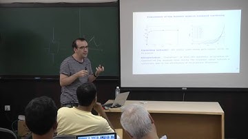 Finite size effects in a model for plasticity of amorphous composites by Damien Vandembroucq