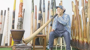 Jesse lethbridge Didgeridoo Key of F# Web code 8140