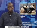 THE WEEK July 31: Long live the panda! This is not Sparta!