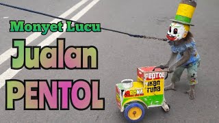 Topeng Monyet Lucu Jualan Pentol / Funny Monkey