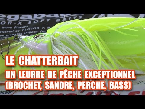 Le CHATTERBAIT, un leurre de pêche EXCEPTIONNEL !!! (brochet, sandre, perche, bass)