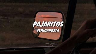 PAJARITOS - Femigangsta (Lyrics / Letra) chords