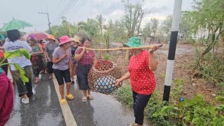 แห่นางแมว! สะกดกลางสายฝนที่โคราช | รัชนี ชาแนล