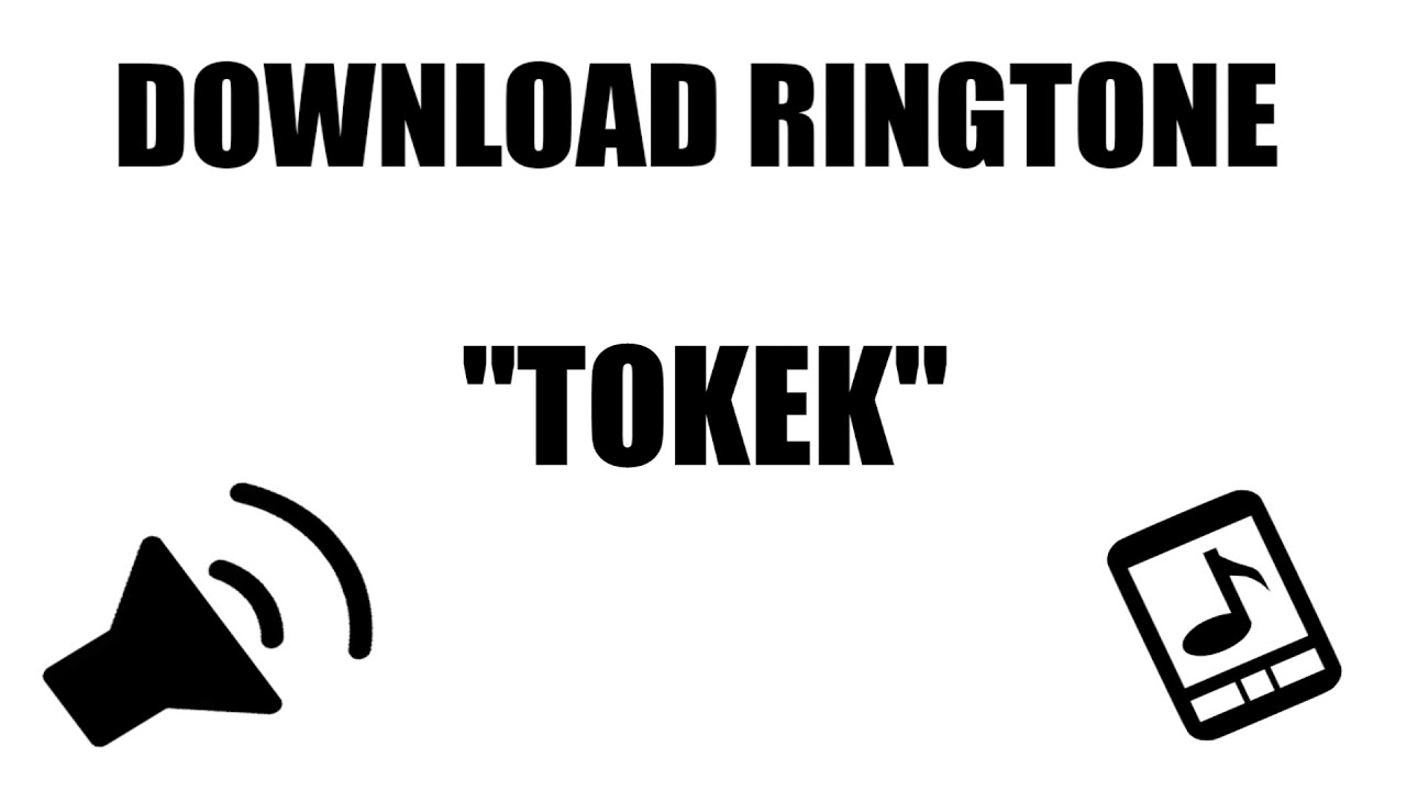 ringtone tokek ringtone tokek