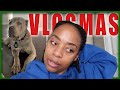 Let's talk about these PUPPIES... | VLOGMAS