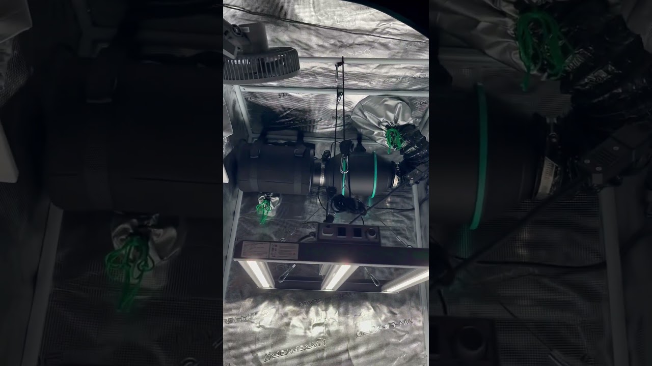 MARS HYDRO FCE 1500 2x2 GROW TENT