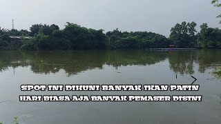 Spot Kobak Odo Yg Di Huni Ikan Patin Babon Babon