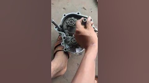 Taro Reaper Gear Box#Repair