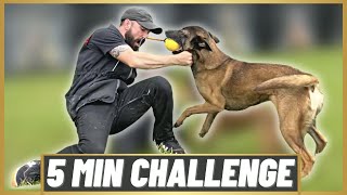 DON'T MOVE YOUR FEET!! 5 Minute Challenge W/ My MALINOIS!