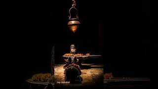 #Vasuki ses nag ji ka size # shiv #mahakal #bam bam bhole #Bhagti stetus