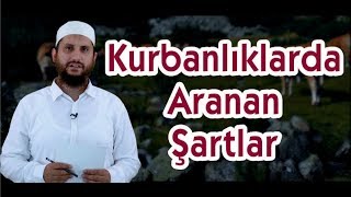 Kurbanlıklarda Aranan Şartlar (3 Dk) Adem Sözkesen