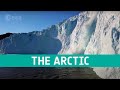 The Arctic: a delicate icy ecosystem