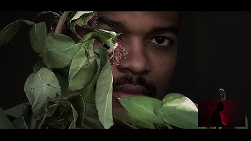 Fusilier - Upstream (Official Video)