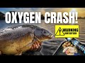 Day Ticket Challenge Linear Fisheries &amp; Horseshoe lake- Gravel &amp; Weed | Mystery box Carp Fishing.  