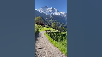 سوره الإخلاص مكرره 10 مرات #ماهر_المعيقلي