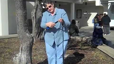 Tree circumference and diameter