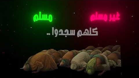 سورة النجم (الأيات 57-62 )😔☹️ #القرآن_الكريم #سورة_النجم #محمد_اللحيدان