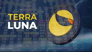 Terra, Luna and UST: The Rise and Fall of an Eco-System