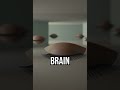 Tiny naps awake #sleep #brain #science
