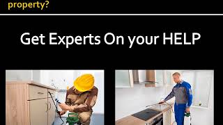 Elgin  Pest Control Pros - Bird Flying Control Service in Elgin IL