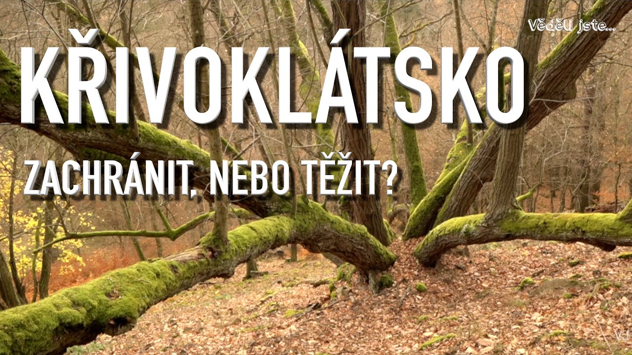 Potřebujeme národní park? | KŘIVOKLÁTSKO