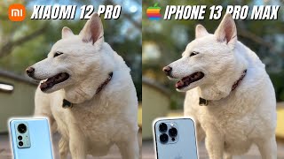 Xiaomi 12 Pro vs iPhone 13 Pro Max Camera Comparison