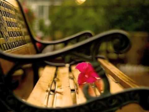    سریال شهرزاد غزل شاکری