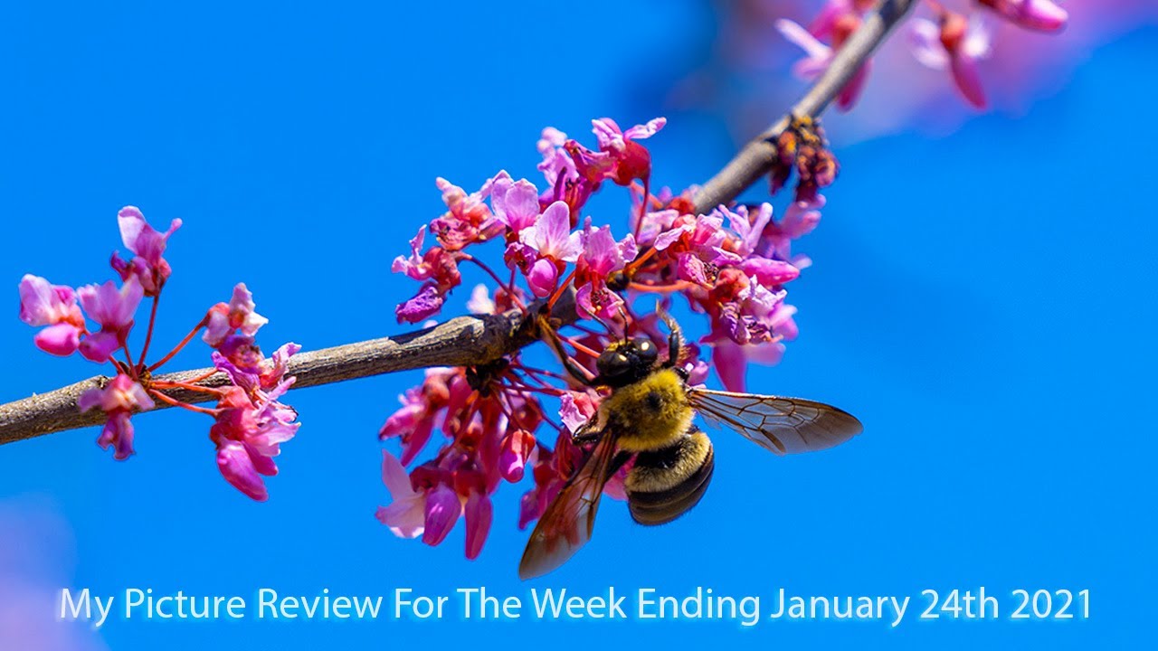 My Picture Review For The Week Ending April 18th 2021 YouTube my-picture-review-for-the-week-ending-april-18th-2021-youtube