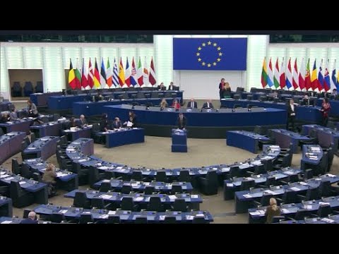 კორუფციული სკანდალის გამო იმუნიტეტის ჩამორთმევა კიდევ ორ ევროპარლამენტარს ემუქრება