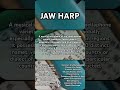 What is a jaw harp? ##jawharp #mouthharp #jewsharp #dorombotherium #boing