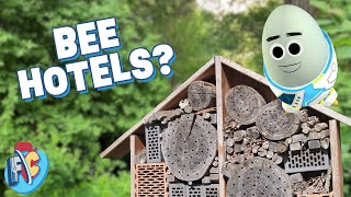 Conservation for Kids | What is a bee hotel | Future Chicken