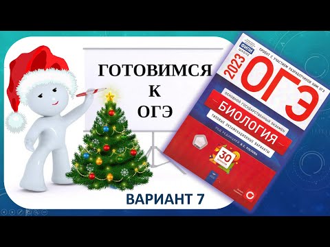 Видео: Что вызывает коричневую пятнистость физодермы?