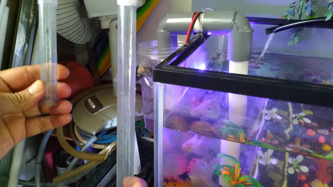 Trik 2 Aquarium Atas Bawah Dengan Hanya 1 Pompa Saja Hemat Listrik Youtube Membuat aquarium filter bawah