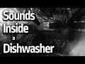 🎧 100 minutes of life inside a Dishwasher ᴬˢᵐʳ ⁴ᴷ