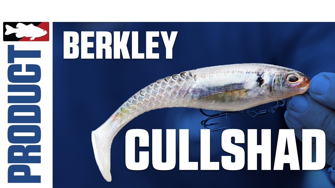 Berkley Powerbait CullShad Swimbait Product Video with  @mikeiaconellifishing @berkleyfishing 