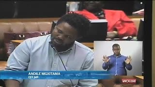 EFF Parliament drama