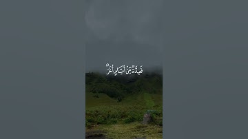 تلاوة عطرة من القارئ محمد النقبي من سوره البقره