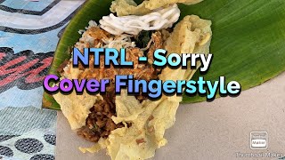 Netral Sorry Fingerstyle Cover