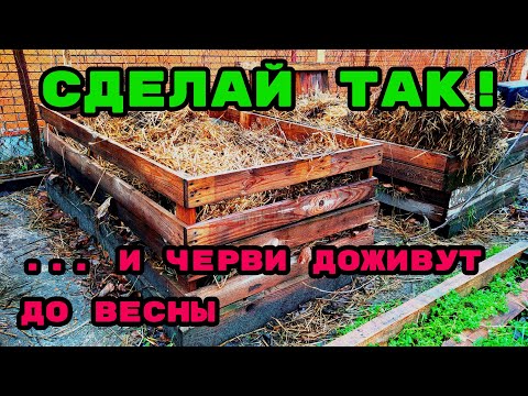 ЧТО НЕОБХОДИМО ДЛЯ УСПЕШНОЙ ЗИМОВКИ ЧЕРВЕЙ НА УЛИЦЕ???