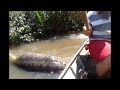 Giant Anaconda Video Goes Viral on Facebook REACTION!!!