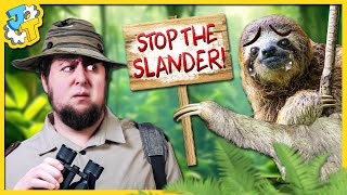 The Media is Bullying Sloths (For Some Reason) image
