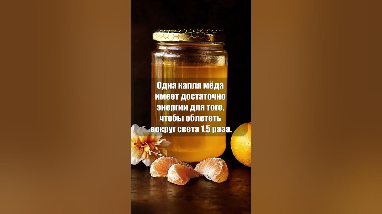 Энергия 1 капли меда #shorts - YouTube