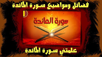 فضائل ومواضيع سورة المائدة | علمتني سورة المائدة ! موقع المصحف الميسر