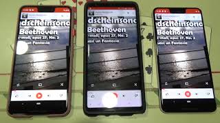 Celebrity Pixel 3 XL Speaker Distortion Wealth