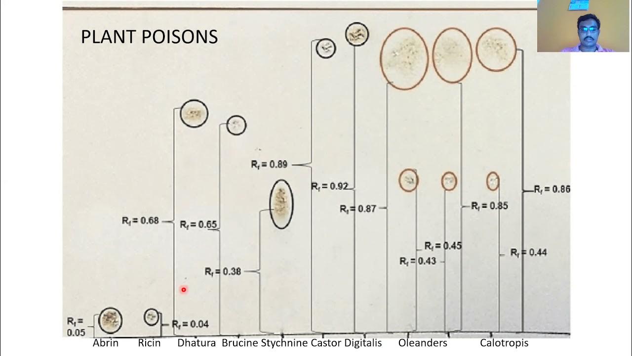 TLC Forensic Applications YouTube
