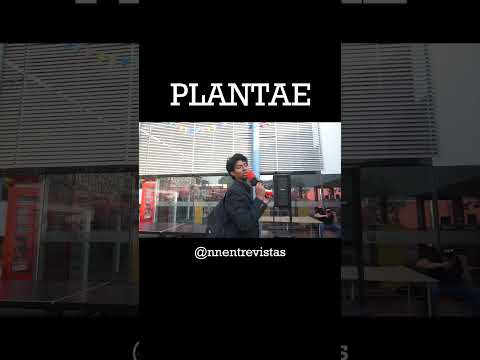 FESTIVAL PLANTAE