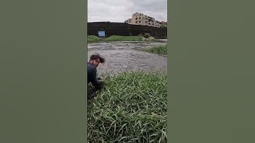 How To Throw Cast Net Fishing #shortsfeed #shortsviral #shortvideo #shorts #short #fishing #fish