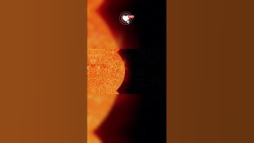 Breaking Down the Nature of Brown Dwarfs